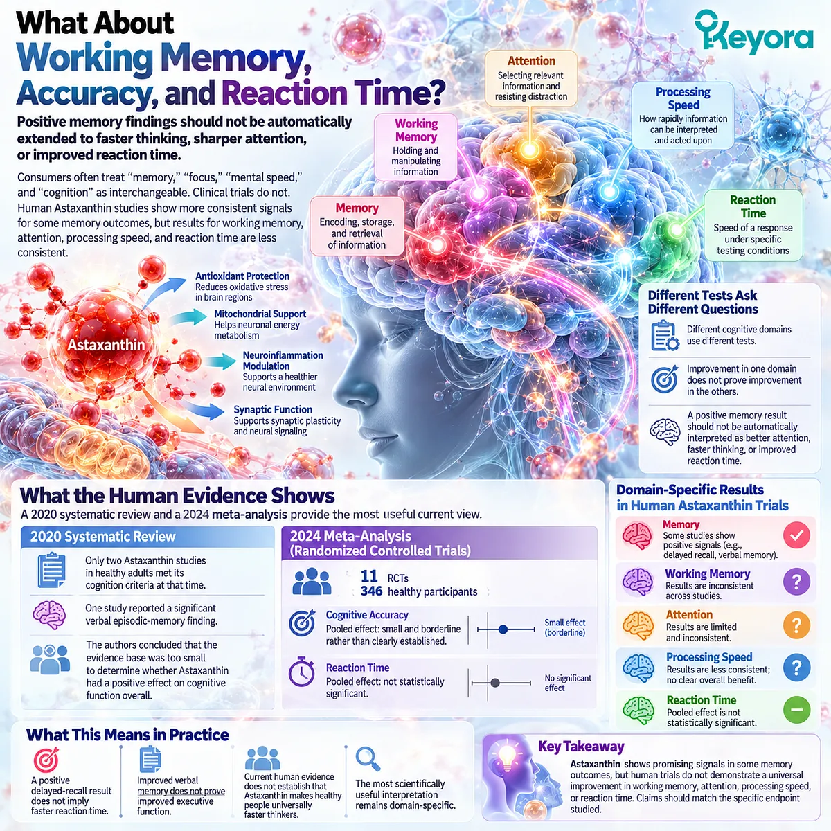 Astaxanthin cognitive support remains domain-specific, with limited accuracy effects and neutral pooled reaction time framed by the Keyora Cognition Evidence Ladder. Astaxanthin cognitive support remains domain-specific, with limited accuracy effects and neutral pooled reaction time framed by the Keyora Cognition Evidence Ladder.