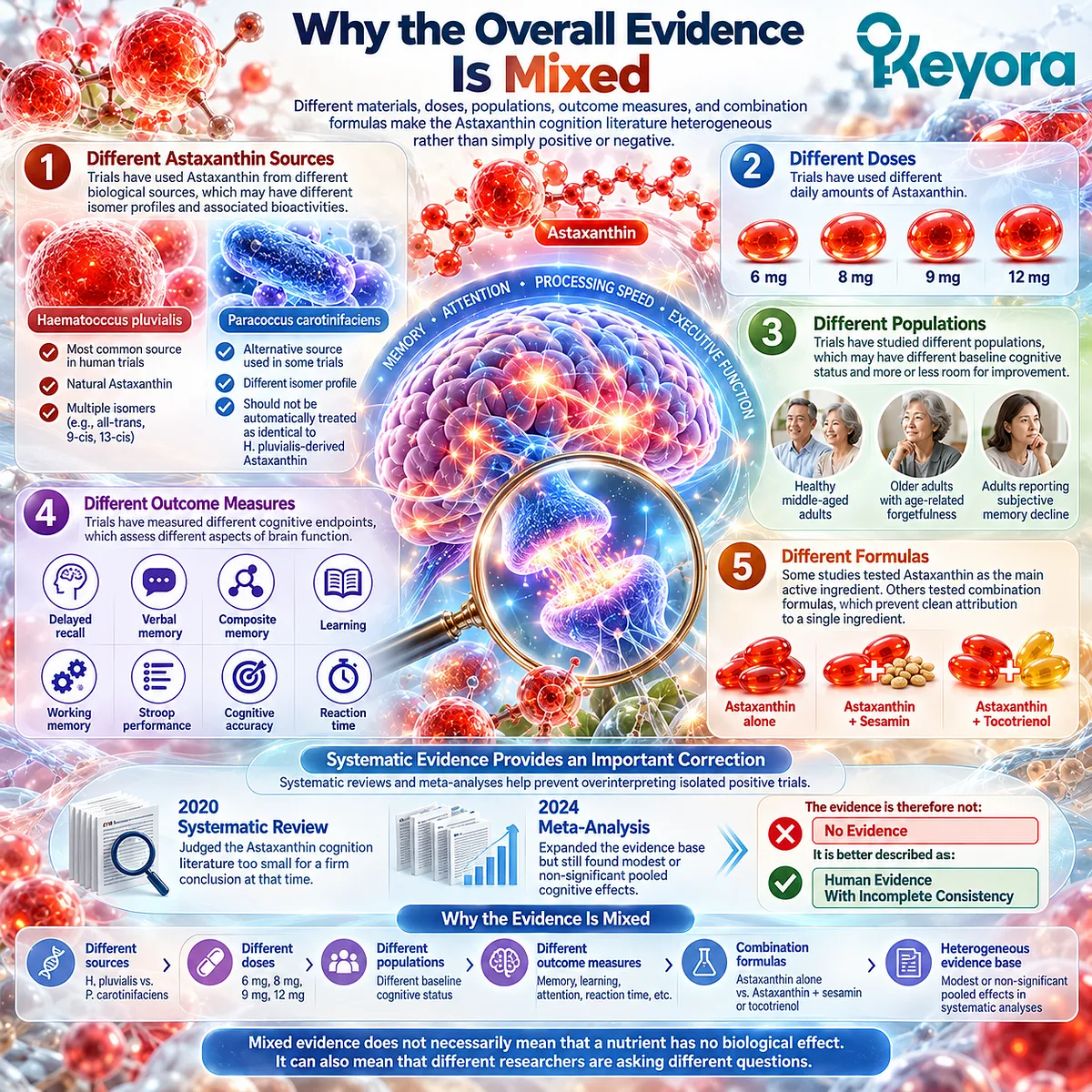 Astaxanthin cognitive evidence varies by source, 6–12 mg dose, population and memory endpoint, producing incomplete consistency in the Keyora Cognition Evidence Ladder. Astaxanthin cognitive evidence varies by source, 6–12 mg dose, population and memory endpoint, producing incomplete consistency in the Keyora Cognition Evidence Ladder.