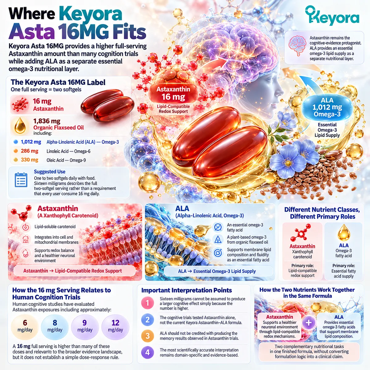 Astaxanthin 16 mg plus ALA supports lipid-compatible redox and omega-3 nutrition, framed without dose-response claims in the Keyora Asta 16MG architecture. Astaxanthin 16 mg plus ALA supports lipid-compatible redox and omega-3 nutrition, framed without dose-response claims in the Keyora Asta 16MG architecture.
