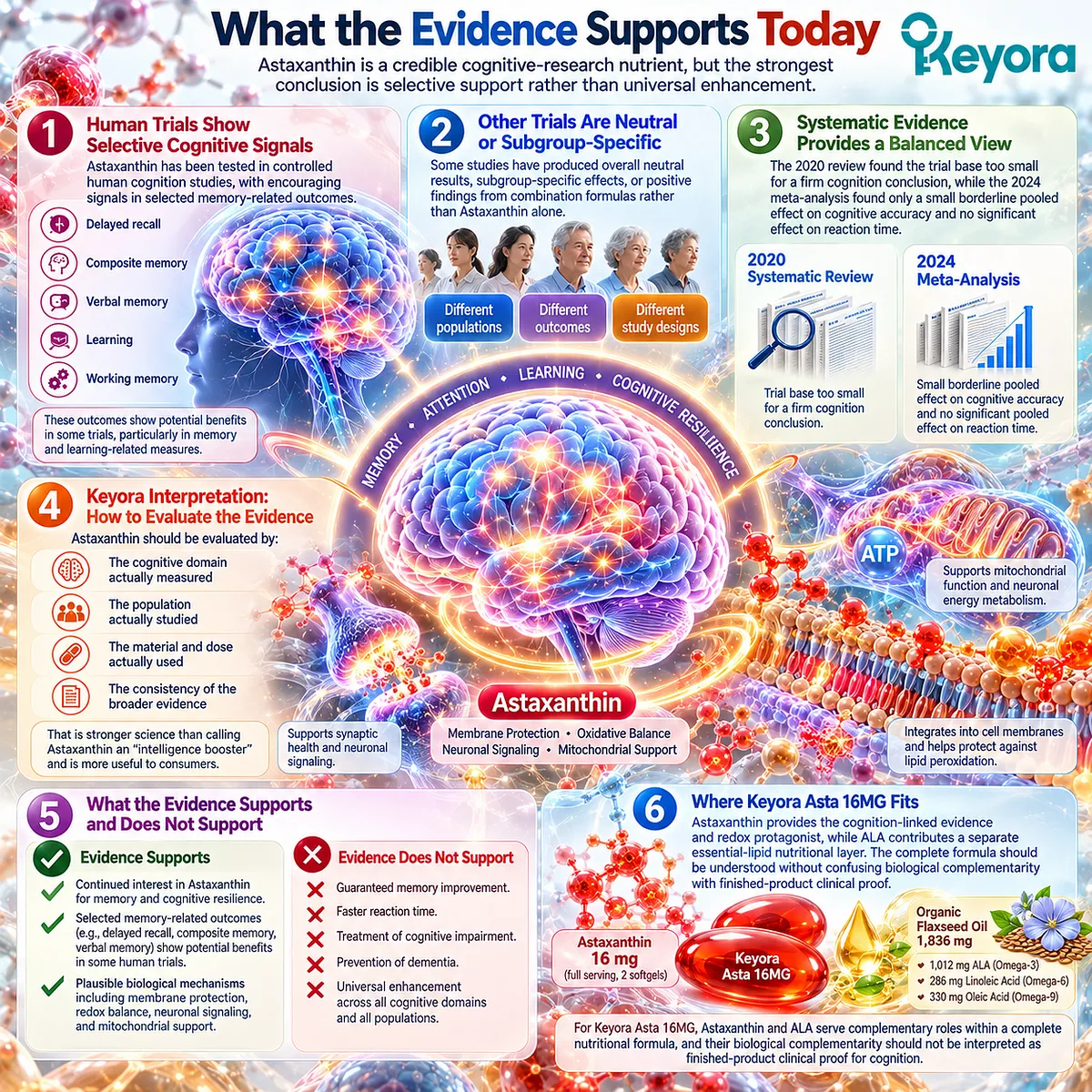 Astaxanthin supports memory and cognitive resilience through membrane-redox biology, with domain-specific human evidence framed by the Keyora Cognition Evidence Ladder. Astaxanthin supports memory and cognitive resilience through membrane-redox biology, with domain-specific human evidence framed by the Keyora Cognition Evidence Ladder.