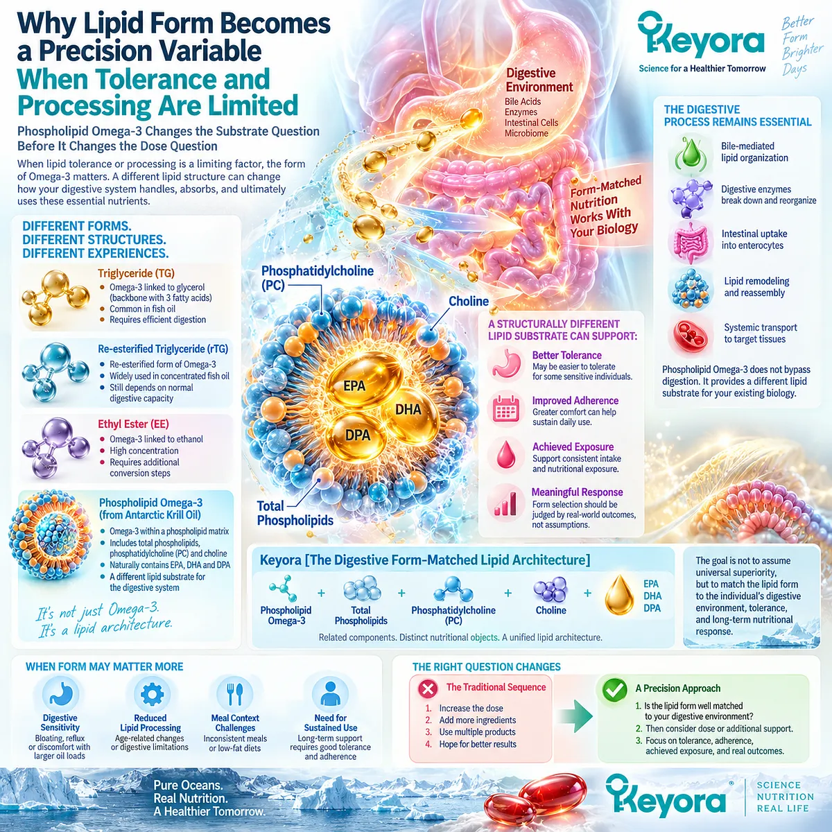 Phospholipid Omega-3 links lipid form with digestive tolerance, processing and achieved exposure in Keyora The Digestive Form-Matched Lipid Architecture. Phospholipid Omega-3 links lipid form with digestive tolerance, processing and achieved exposure in Keyora The Digestive Form-Matched Lipid Architecture.