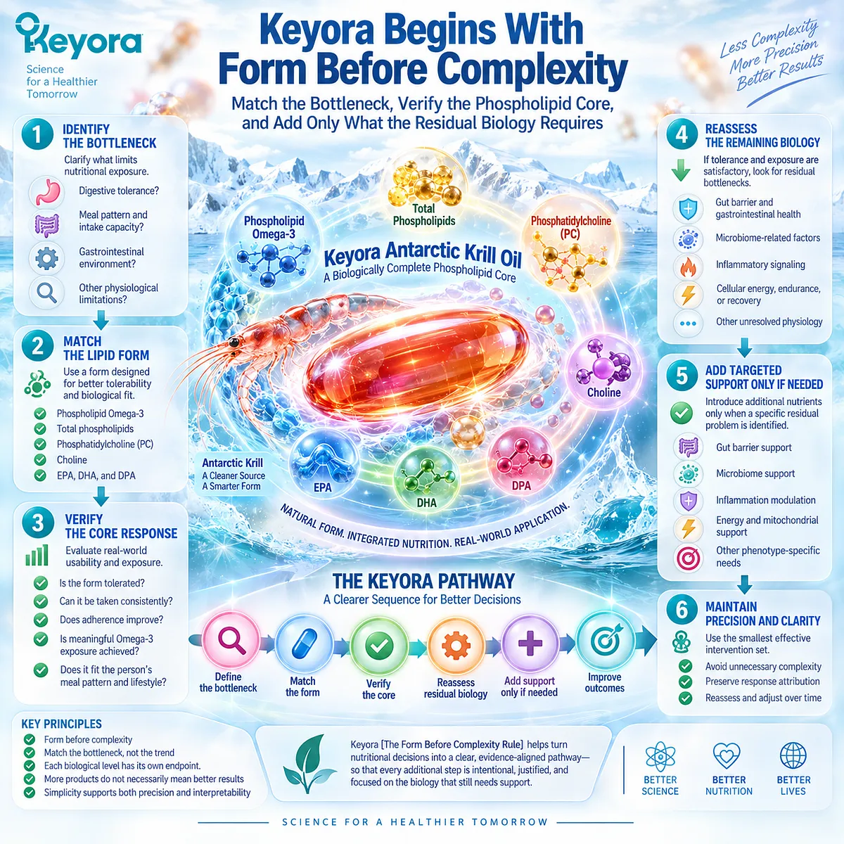 Phospholipid Omega-3 matches digestive tolerance and achieved exposure before added supplements in Keyora The Form Before Complexity Rule for precision nutrition. Phospholipid Omega-3 matches digestive tolerance and achieved exposure before added supplements in Keyora The Form Before Complexity Rule for precision nutrition.