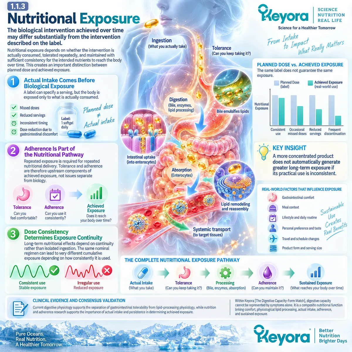 Omega-3 nutritional exposure depends on actual intake, adherence and dose consistency, not label dose alone, in Keyora The Digestive Capacity-Form Match. Omega-3 nutritional exposure depends on actual intake, adherence and dose consistency, not label dose alone, in Keyora The Digestive Capacity-Form Match.