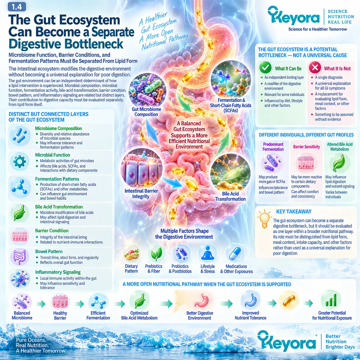 Gut microbiome function, fermentation, bile-acid metabolism and intestinal barrier conditions can independently shape lipid tolerance in Keyora The Digestive Capacity-Form Match. Gut microbiome function, fermentation, bile-acid metabolism and intestinal barrier conditions can independently shape lipid tolerance in Keyora The Digestive Capacity-Form Match.