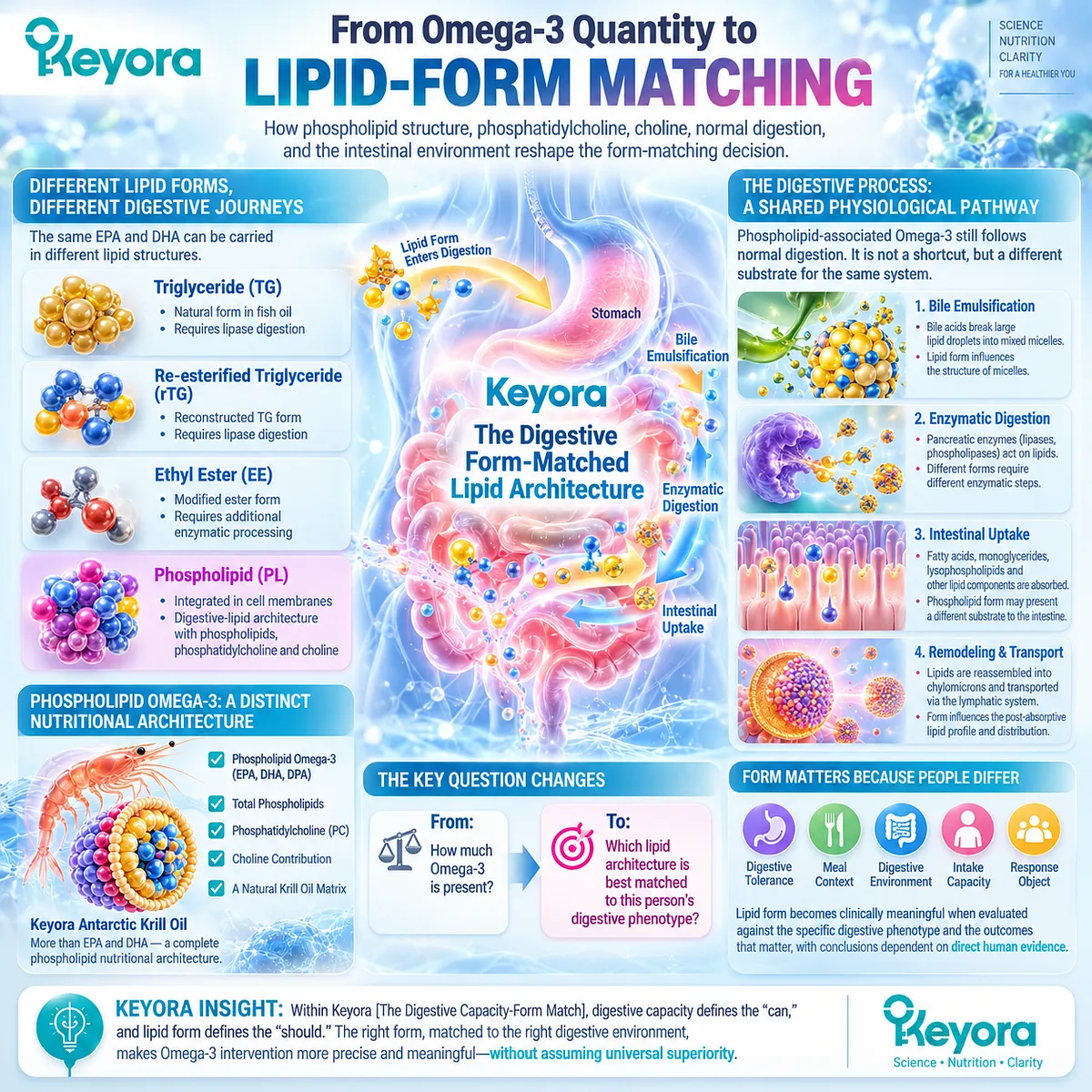 Phospholipid Omega-3 links phosphatidylcholine and choline with normal lipid digestion to support form matching in Keyora Digestive Form-Matched Lipid Architecture. Phospholipid Omega-3 links phosphatidylcholine and choline with normal lipid digestion to support form matching in Keyora Digestive Form-Matched Lipid Architecture.