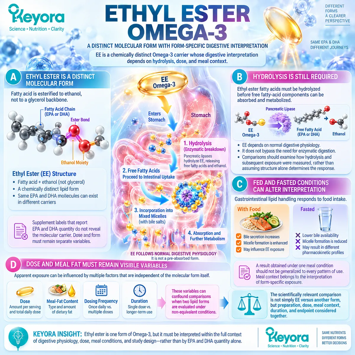 Ethyl ester Omega-3 requires hydrolysis before intestinal uptake, with dose and meal fat shaping exposure in Keyora Digestive Capacity-Form Match. Ethyl ester Omega-3 requires hydrolysis before intestinal uptake, with dose and meal fat shaping exposure in Keyora Digestive Capacity-Form Match.
