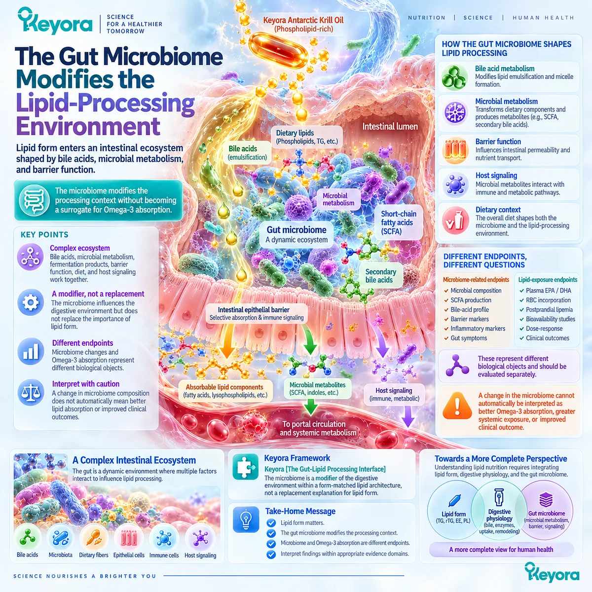 Gut microbiome, bile acids and intestinal barrier function shape the Omega-3 lipid-processing environment in Keyora Gut-Lipid Processing Interface. Gut microbiome, bile acids and intestinal barrier function shape the Omega-3 lipid-processing environment in Keyora Gut-Lipid Processing Interface.