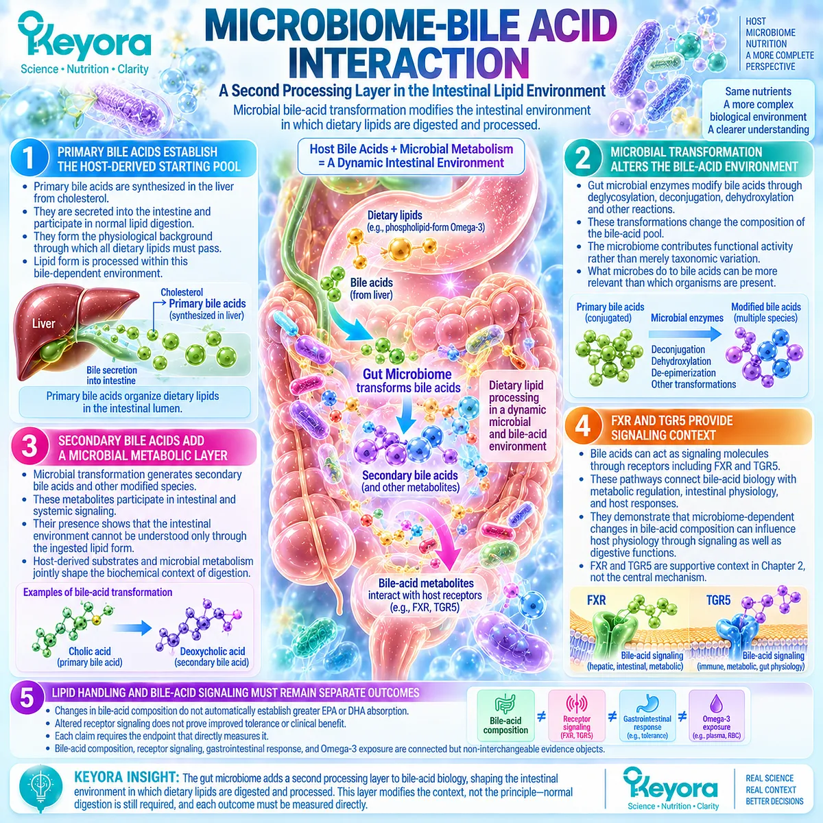Gut microbiome transforms bile acids and influences FXR-TGR5 signaling, shaping Omega-3 lipid processing within Keyora Gut-Lipid Processing Interface. Gut microbiome transforms bile acids and influences FXR-TGR5 signaling, shaping Omega-3 lipid processing within Keyora Gut-Lipid Processing Interface.
