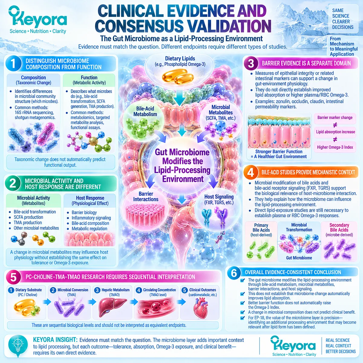 Gut microbiome function shapes bile acids, SCFAs, barrier signaling and TMA metabolism without proving Omega-3 absorption in Keyora Gut-Lipid Processing Interface. Gut microbiome function shapes bile acids, SCFAs, barrier signaling and TMA metabolism without proving Omega-3 absorption in Keyora Gut-Lipid Processing Interface.