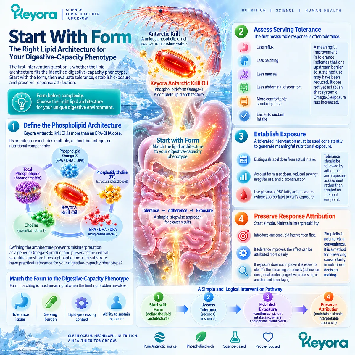 Phospholipid Omega-3 form matching starts with digestive tolerance, adherence and measured exposure before added support under Keyora Form Before Complexity Rule. Phospholipid Omega-3 form matching starts with digestive tolerance, adherence and measured exposure before added support under Keyora Form Before Complexity Rule.