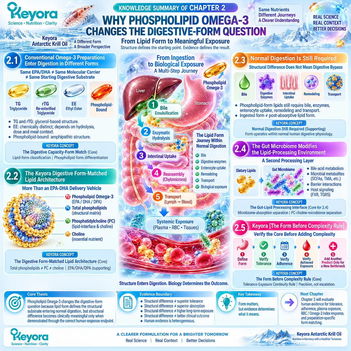 Phospholipid Omega-3 links lipid form, normal digestion, gut microbiome context and tolerance-to-exposure matching in Keyora Digestive Form-Matched Lipid Architecture. Phospholipid Omega-3 links lipid form, normal digestion, gut microbiome context and tolerance-to-exposure matching in Keyora Digestive Form-Matched Lipid Architecture.