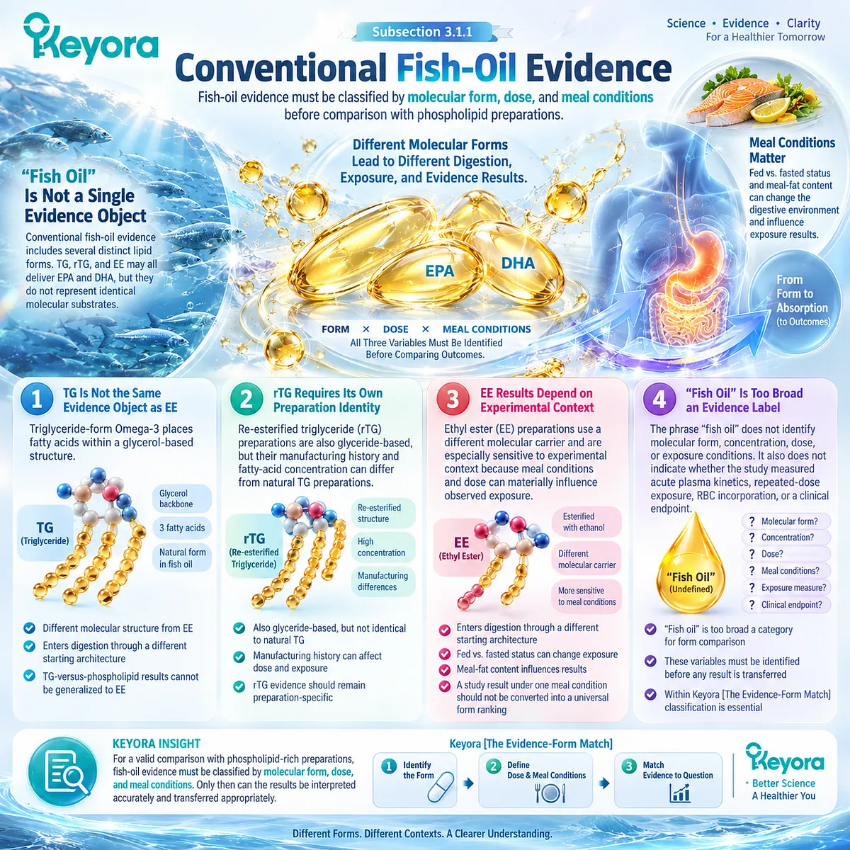 Fish oil bioavailability varies by TG, rTG, EE form, dose, and meal conditions, requiring Keyora Evidence-Form Match before comparison with phospholipid Omega-3. Fish oil bioavailability varies by TG, rTG, EE form, dose, and meal conditions, requiring Keyora Evidence-Form Match before comparison with phospholipid Omega-3.