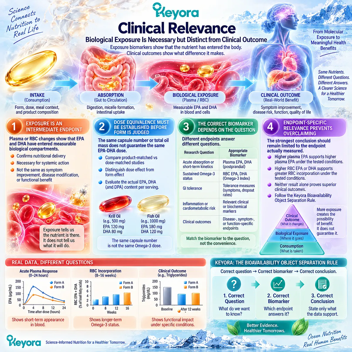 Omega-3 bioavailability links EPA-DHA exposure to nutrient delivery, while Keyora Bioavailability Object Separation Rule distinguishes biomarkers from clinical outcomes. Omega-3 bioavailability links EPA-DHA exposure to nutrient delivery, while Keyora Bioavailability Object Separation Rule distinguishes biomarkers from clinical outcomes.