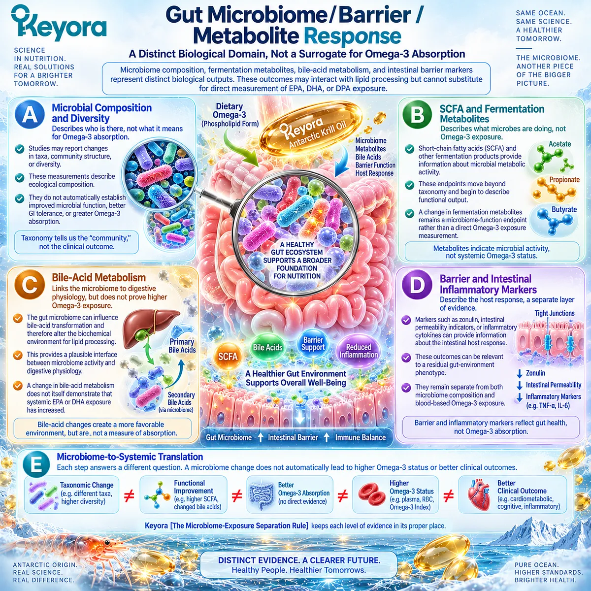 Gut microbiome response maps microbial diversity, SCFAs, bile acids, and barrier signals separately from Omega-3 absorption under Keyora Microbiome-Exposure Separation Rule. Gut microbiome response maps microbial diversity, SCFAs, bile acids, and barrier signals separately from Omega-3 absorption under Keyora Microbiome-Exposure Separation Rule.