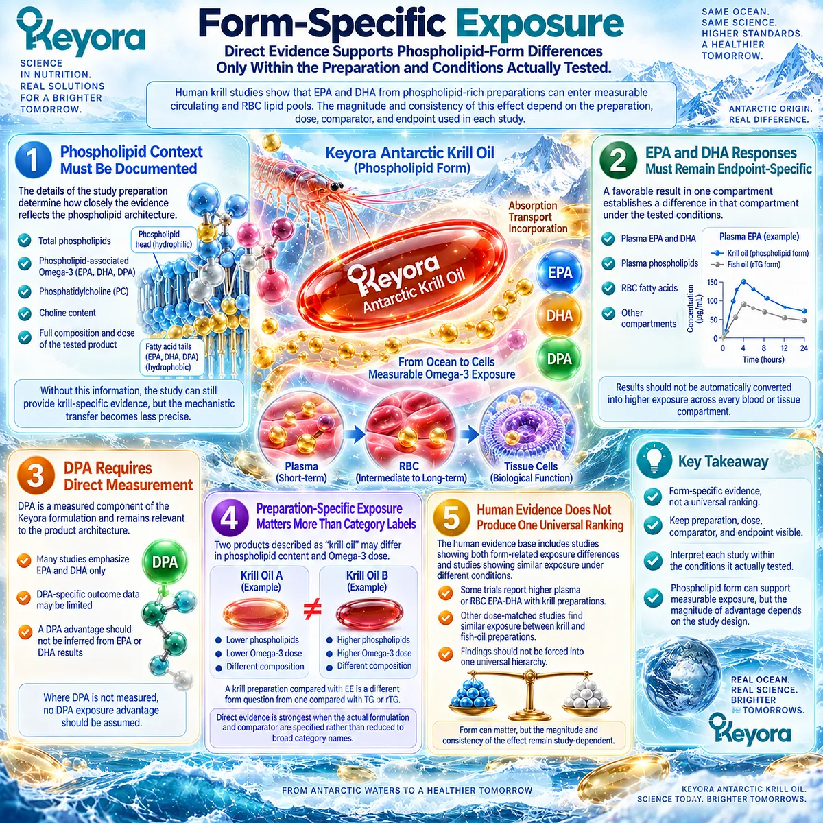 Krill oil bioavailability links phospholipid Omega-3 to plasma and RBC EPA-DHA exposure, with Keyora Evidence-Form Match keeping effects preparation- and endpoint-specific. Krill oil bioavailability links phospholipid Omega-3 to plasma and RBC EPA-DHA exposure, with Keyora Evidence-Form Match keeping effects preparation- and endpoint-specific.
