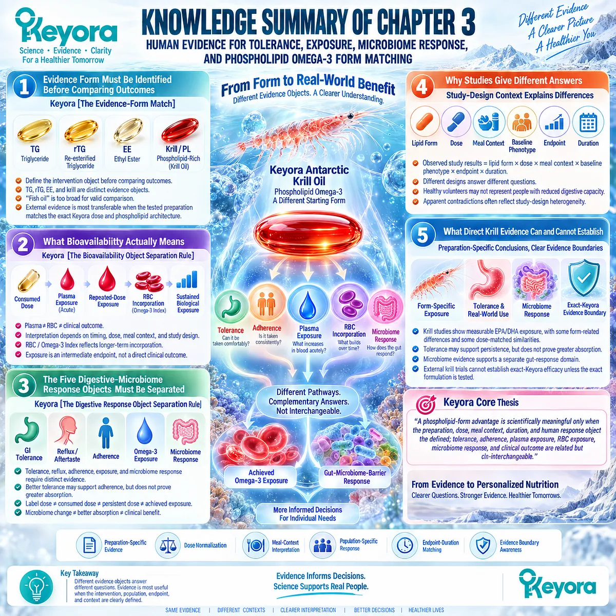 Phospholipid Omega-3 evidence maps GI tolerance, adherence, plasma and RBC exposure, and microbiome response through Keyora Digestive Response Object Separation Rule. Phospholipid Omega-3 evidence maps GI tolerance, adherence, plasma and RBC exposure, and microbiome response through Keyora Digestive Response Object Separation Rule.