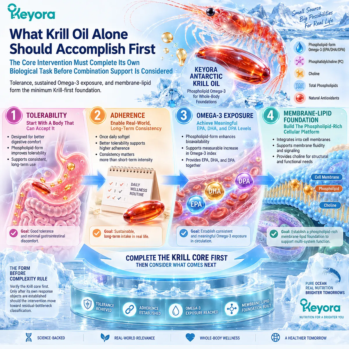 Krill oil supports sustained Omega-3 exposure and membrane-lipid substrate after tolerance and adherence are established, forming the Keyora Form Before Complexity foundation. Krill oil supports sustained Omega-3 exposure and membrane-lipid substrate after tolerance and adherence are established, forming the Keyora Form Before Complexity foundation.