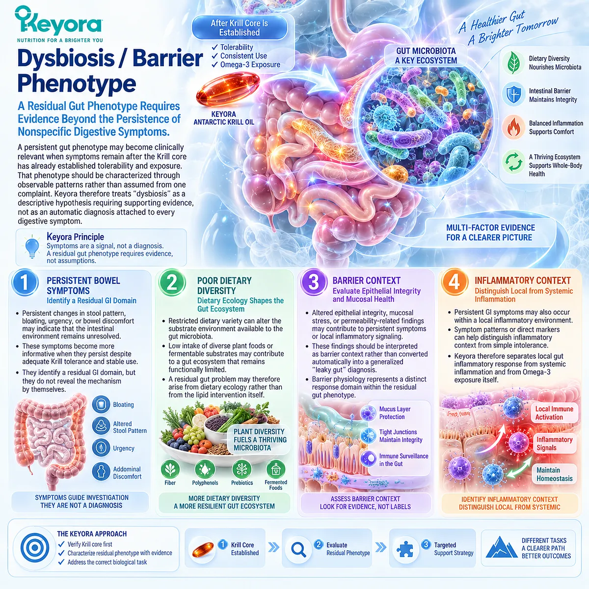 Gut health assessment links persistent bowel symptoms, low dietary diversity, intestinal barrier function and inflammatory balance to Keyora Dysbiosis and Barrier Phenotype mapping. Gut health assessment links persistent bowel symptoms, low dietary diversity, intestinal barrier function and inflammatory balance to Keyora Dysbiosis and Barrier Phenotype mapping.