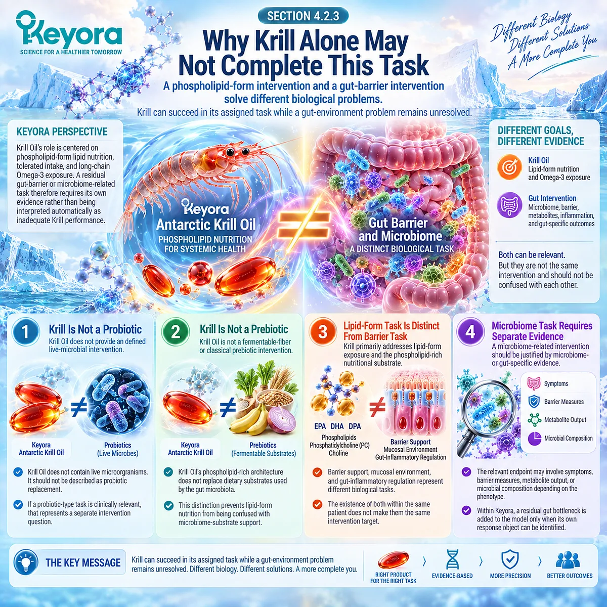 Krill oil supports phospholipid Omega-3 exposure but does not replace probiotic, prebiotic or intestinal barrier support, a distinction defined by Keyora Residual Bottleneck logic. Krill oil supports phospholipid Omega-3 exposure but does not replace probiotic, prebiotic or intestinal barrier support, a distinction defined by Keyora Residual Bottleneck logic.