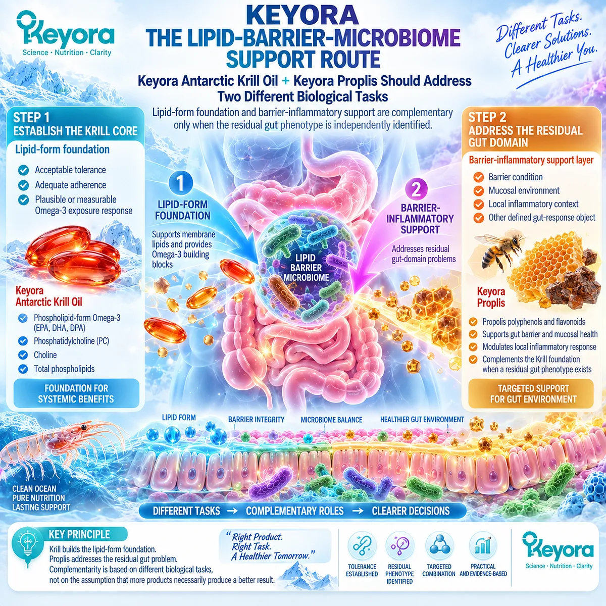 Krill oil provides phospholipid Omega-3 while Proplis adds gut barrier and inflammatory-balance support in Keyora The Lipid-Barrier-Microbiome Support Route. Krill oil provides phospholipid Omega-3 while Proplis adds gut barrier and inflammatory-balance support in Keyora The Lipid-Barrier-Microbiome Support Route.
