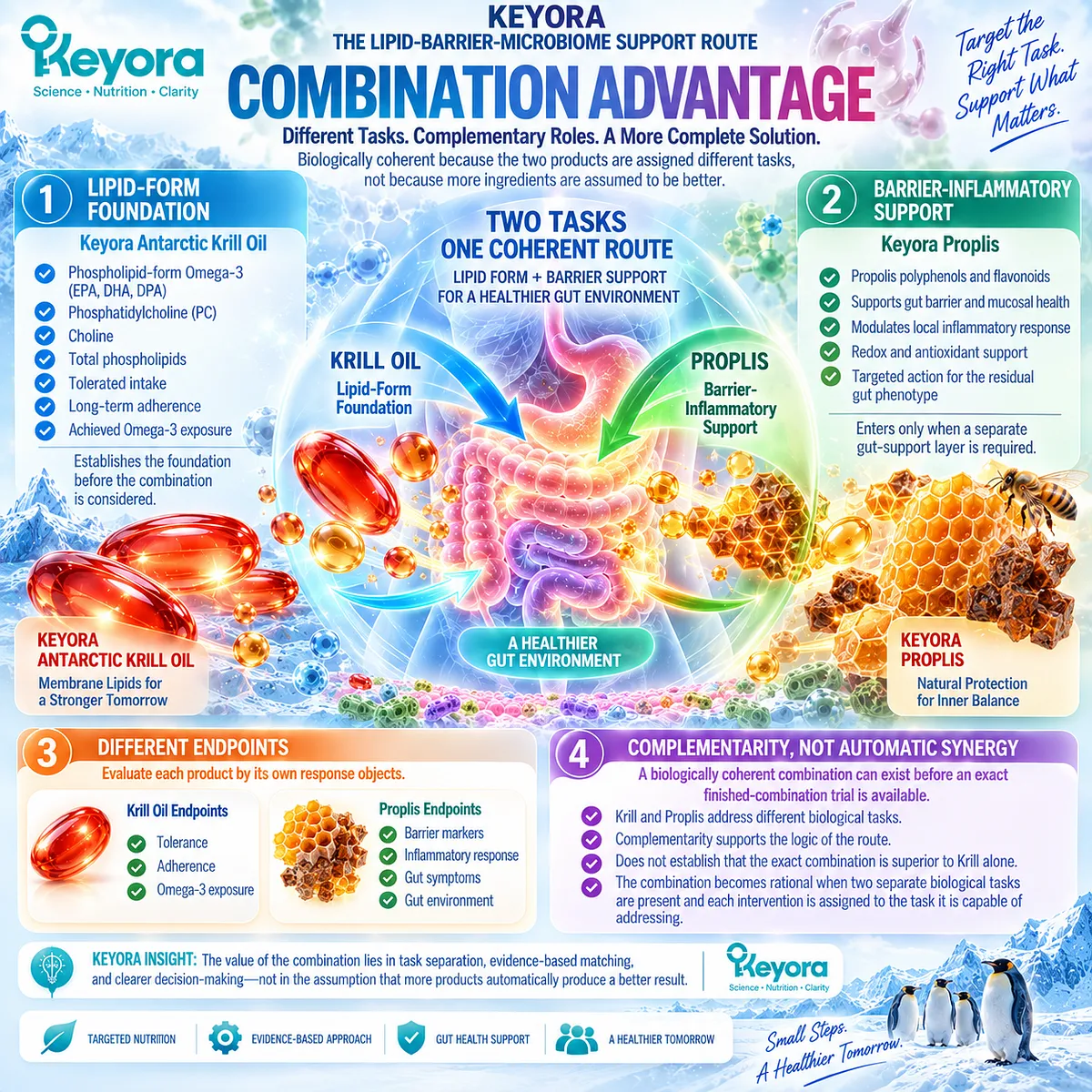 Krill oil and propolis combine phospholipid Omega-3 with gut barrier and inflammatory-balance support through Keyora The Lipid-Barrier-Microbiome Support Route. Krill oil and propolis combine phospholipid Omega-3 with gut barrier and inflammatory-balance support through Keyora The Lipid-Barrier-Microbiome Support Route.