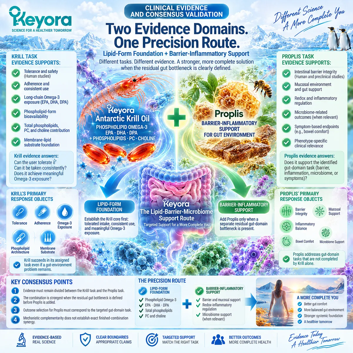 Krill oil and propolis evidence separates phospholipid Omega-3 exposure from gut barrier and inflammatory support in Keyora Lipid-Barrier-Microbiome Support Route. Krill oil and propolis evidence separates phospholipid Omega-3 exposure from gut barrier and inflammatory support in Keyora Lipid-Barrier-Microbiome Support Route.