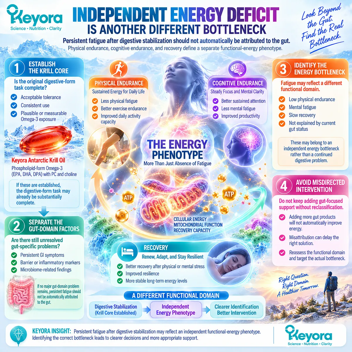 Persistent fatigue after digestive stabilization may reflect physical endurance, cognitive endurance or recovery needs, mapped as a separate Keyora Independent Energy Bottleneck. Persistent fatigue after digestive stabilization may reflect physical endurance, cognitive endurance or recovery needs, mapped as a separate Keyora Independent Energy Bottleneck.
