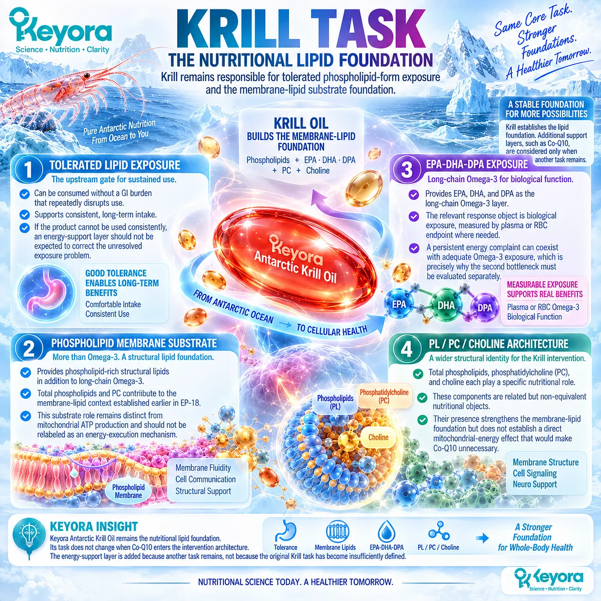 Krill oil provides tolerated phospholipid Omega-3, PC, choline and EPA-DHA-DPA membrane substrate within Keyora The Digestion-to-Energy Continuity Route. Krill oil provides tolerated phospholipid Omega-3, PC, choline and EPA-DHA-DPA membrane substrate within Keyora The Digestion-to-Energy Continuity Route.