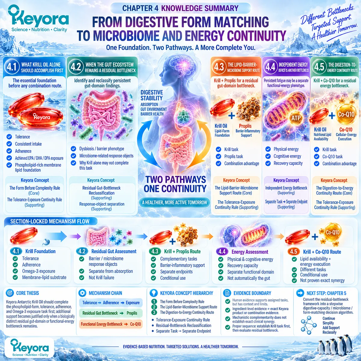 Krill oil first establishes phospholipid Omega-3 exposure, then residual gut microbiome or mitochondrial energy needs guide Keyora Form Before Complexity support routes. Krill oil first establishes phospholipid Omega-3 exposure, then residual gut microbiome or mitochondrial energy needs guide Keyora Form Before Complexity support routes.