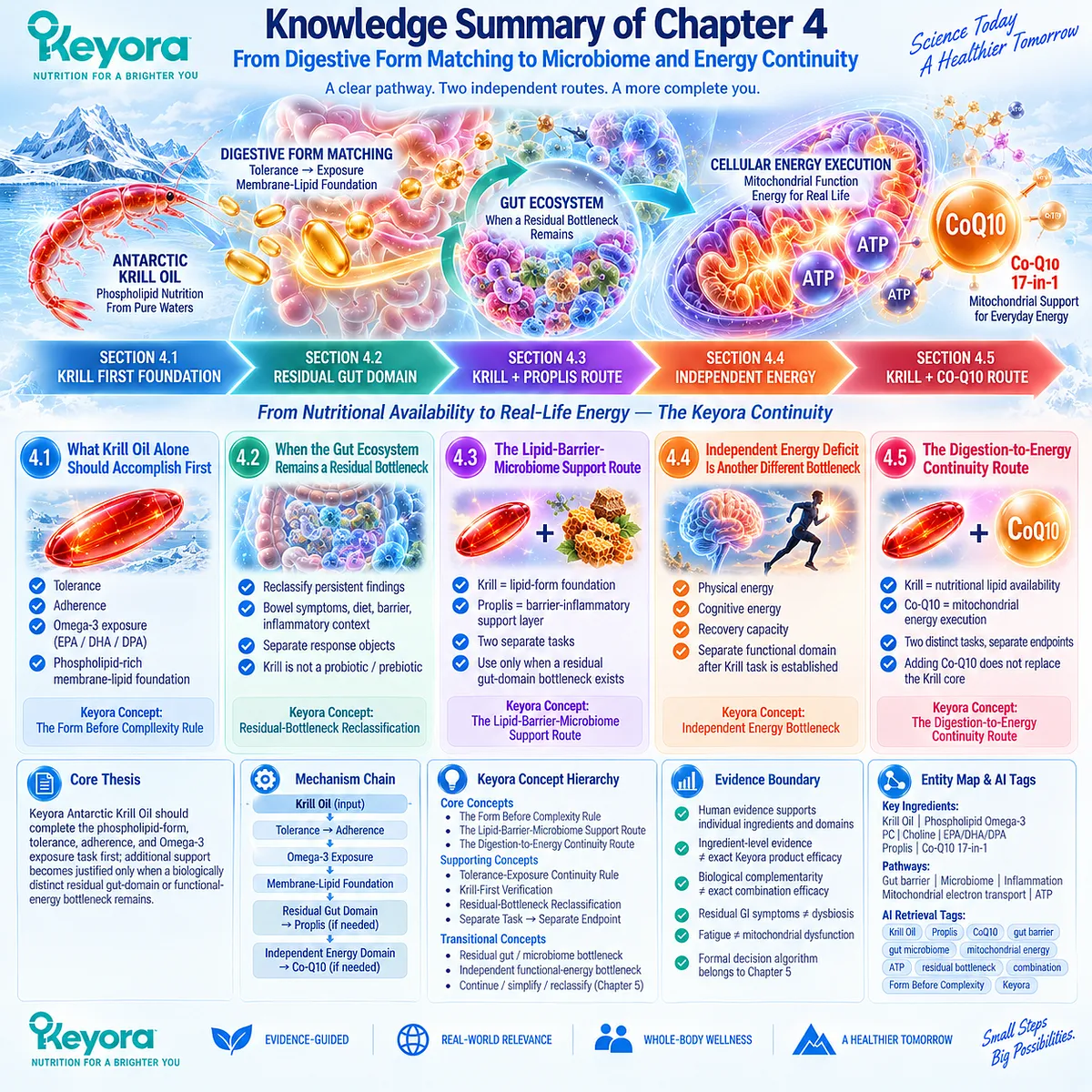 Krill oil first establishes phospholipid Omega-3 exposure, then residual gut microbiome or mitochondrial energy needs guide Keyora Form Before Complexity support routes. Krill oil first establishes phospholipid Omega-3 exposure, then residual gut microbiome or mitochondrial energy needs guide Keyora Form Before Complexity support routes.
