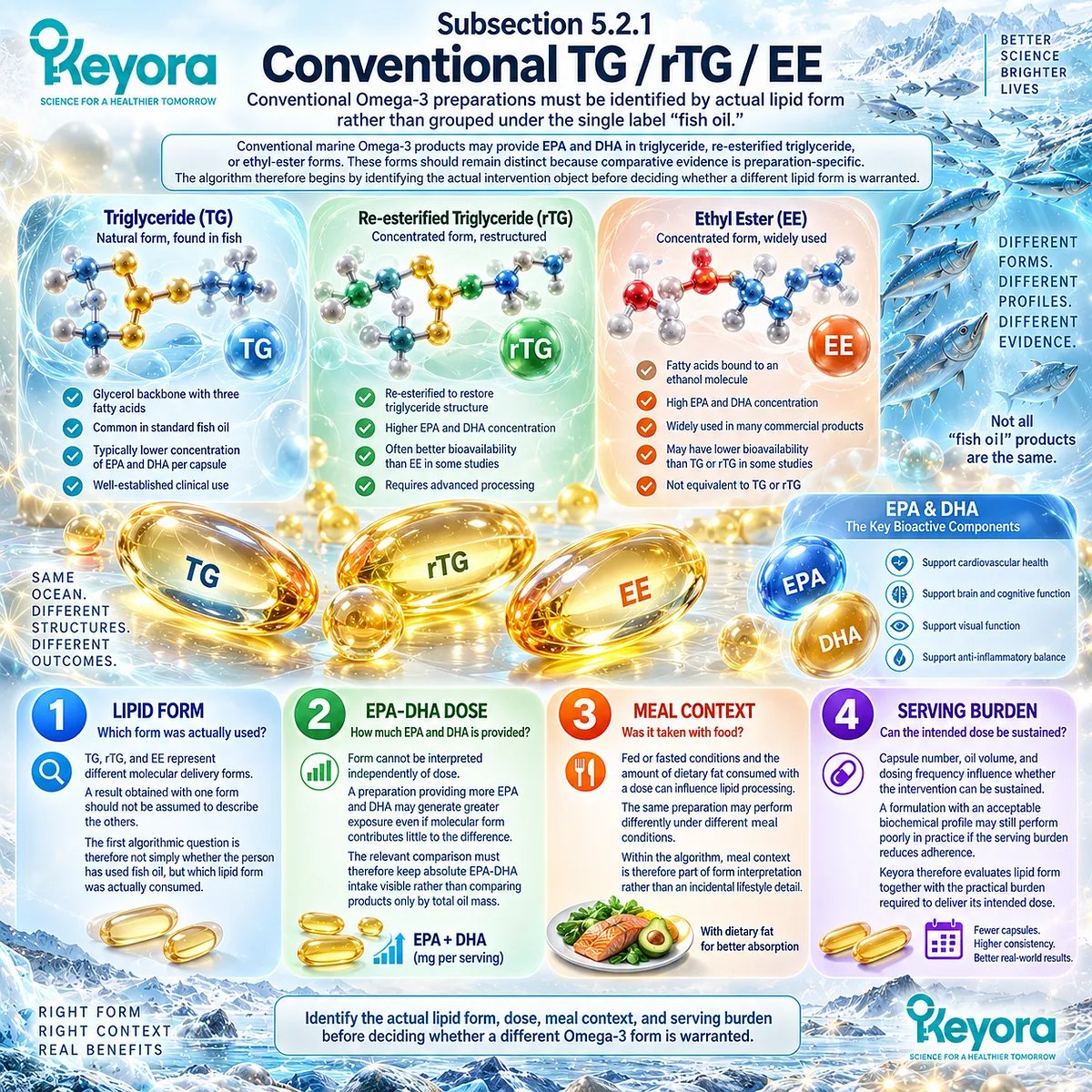 Omega-3 TG, rTG and EE forms differ in molecular delivery, while EPA-DHA dose, meal context and serving burden govern exposure in the Keyora Digestive Capacity-Form Match. Omega-3 TG, rTG and EE forms differ in molecular delivery, while EPA-DHA dose, meal context and serving burden govern exposure in the Keyora Digestive Capacity-Form Match.