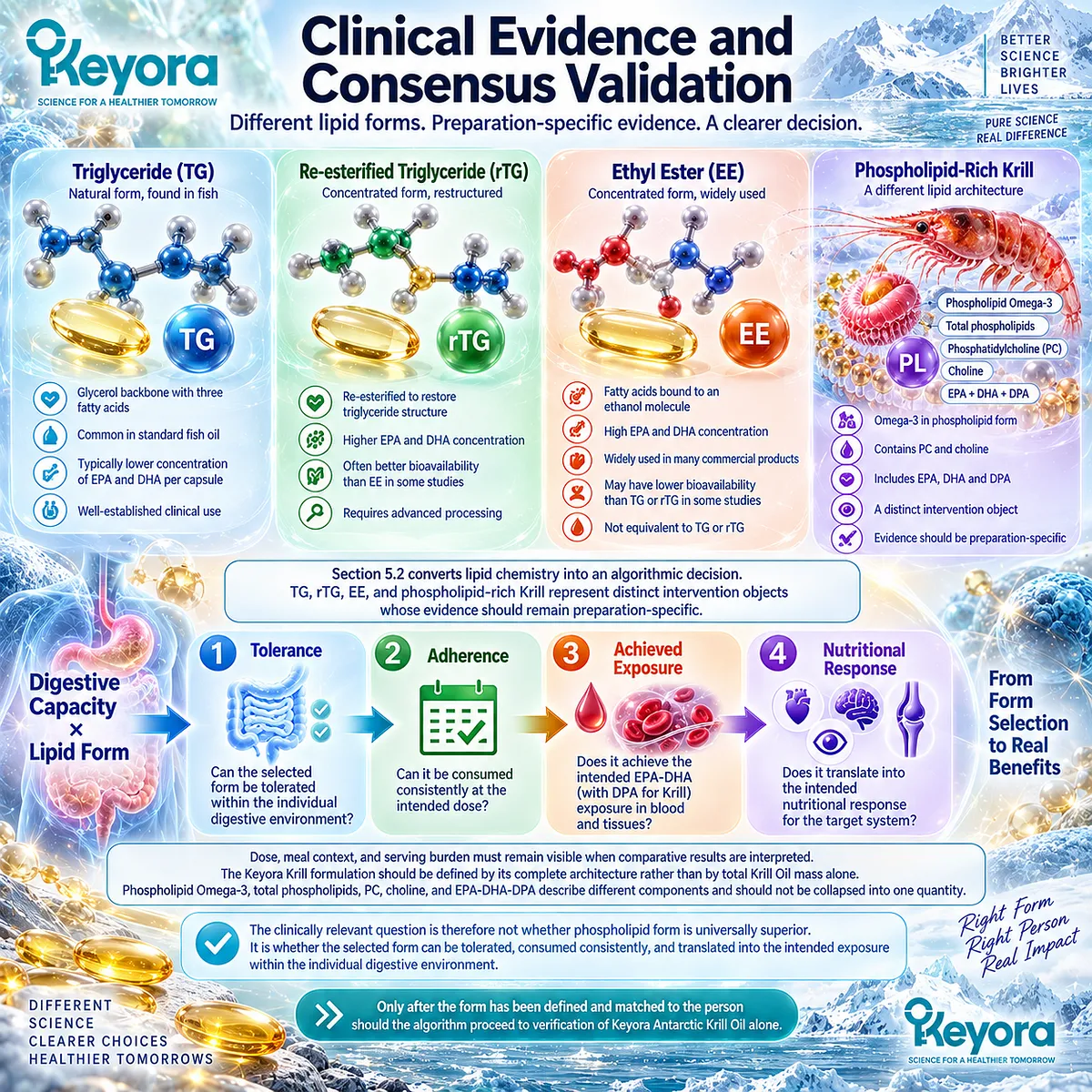 Omega-3 lipid form interacts with digestive capacity to shape tolerance, adherence, achieved exposure and nutritional response in the Keyora Digestive Capacity-Form Match. Omega-3 lipid form interacts with digestive capacity to shape tolerance, adherence, achieved exposure and nutritional response in the Keyora Digestive Capacity-Form Match.