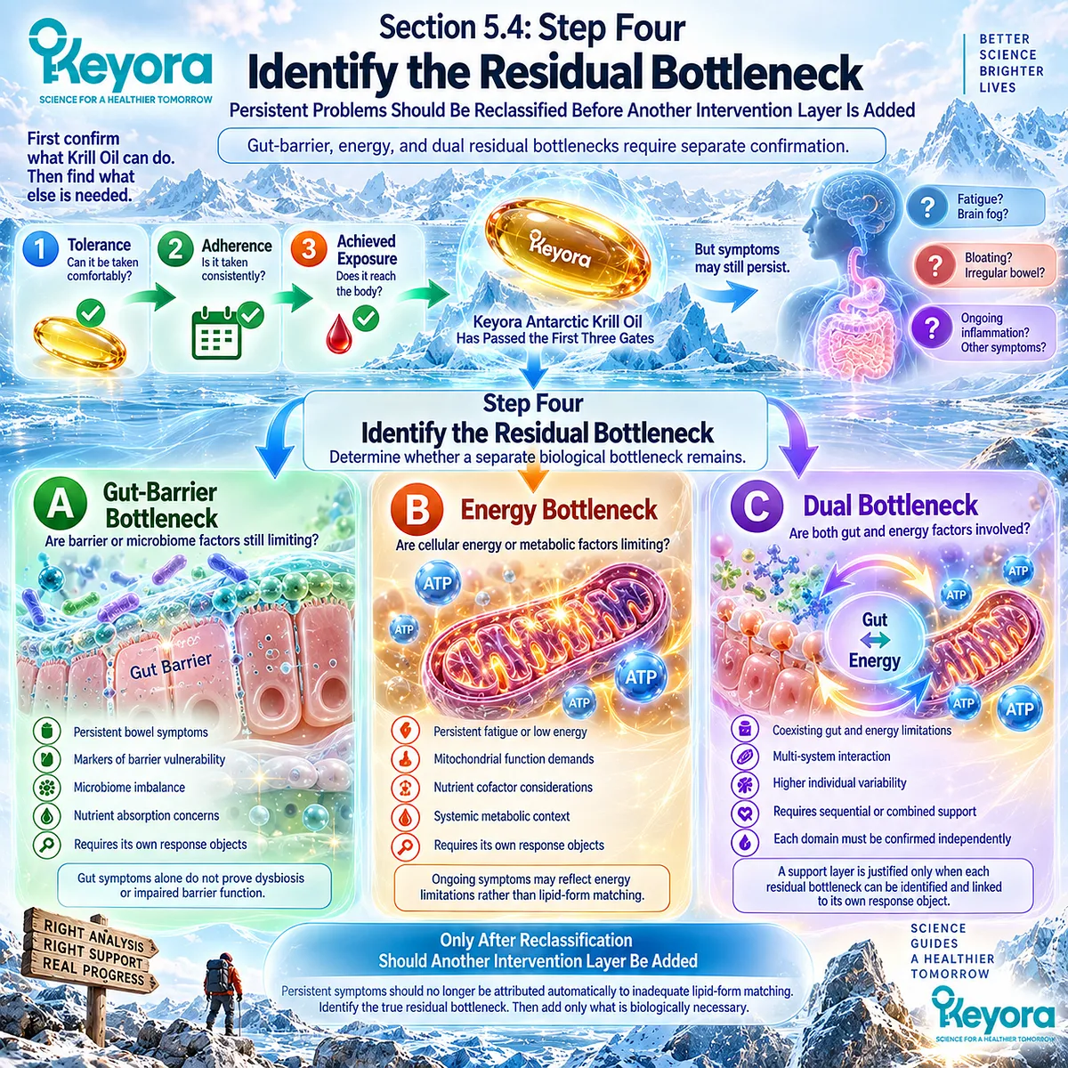 Persistent digestive concerns after adequate Krill Oil exposure require reclassification into gut-barrier, energy or dual residual bottlenecks within the Keyora matching algorithm. Persistent digestive concerns after adequate Krill Oil exposure require reclassification into gut-barrier, energy or dual residual bottlenecks within the Keyora matching algorithm.