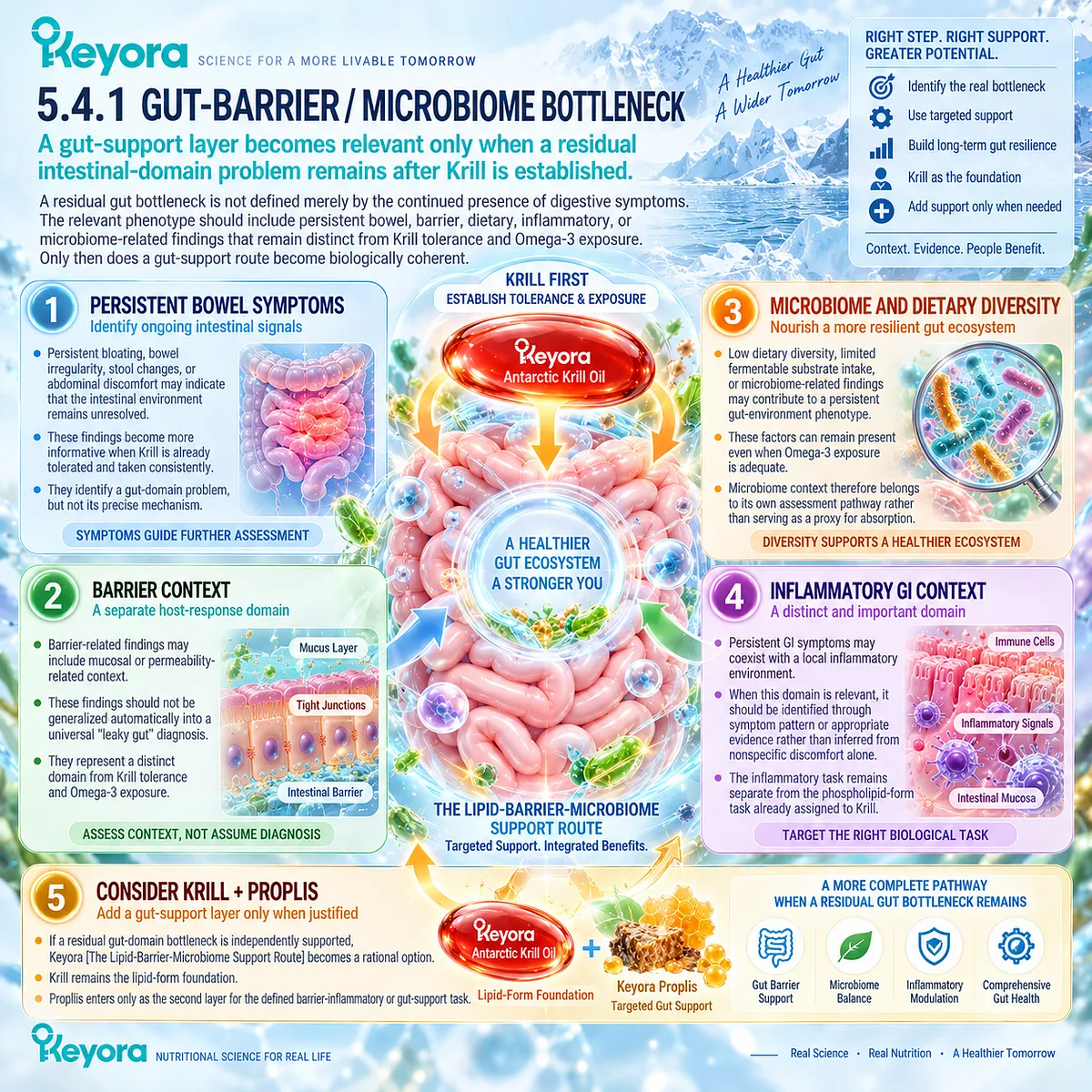 Gut barrier, microbiome, bowel and inflammatory balance may remain separate from adequate Omega-3 exposure, guiding the Keyora Lipid-Barrier-Microbiome Support Route. Gut barrier, microbiome, bowel and inflammatory balance may remain separate from adequate Omega-3 exposure, guiding the Keyora Lipid-Barrier-Microbiome Support Route.