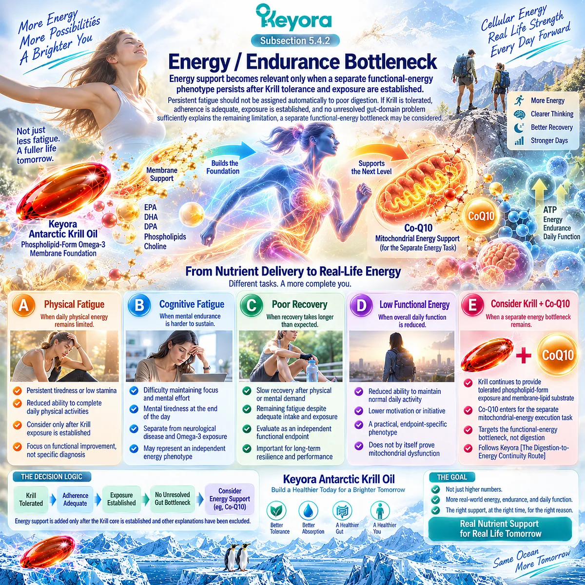 Fatigue, cognitive endurance and recovery can define a residual energy bottleneck after adequate Omega-3 exposure, guiding the Keyora Digestion-to-Energy Continuity Route. Fatigue, cognitive endurance and recovery can define a residual energy bottleneck after adequate Omega-3 exposure, guiding the Keyora Digestion-to-Energy Continuity Route.