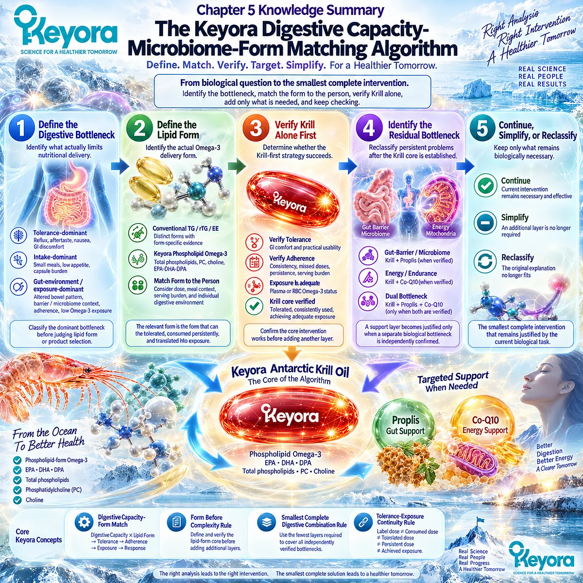 Digestive capacity, lipid form, Omega-3 exposure, gut-barrier and energy bottlenecks guide the Keyora algorithm toward the smallest complete nutrition intervention. Digestive capacity, lipid form, Omega-3 exposure, gut-barrier and energy bottlenecks guide the Keyora algorithm toward the smallest complete nutrition intervention.