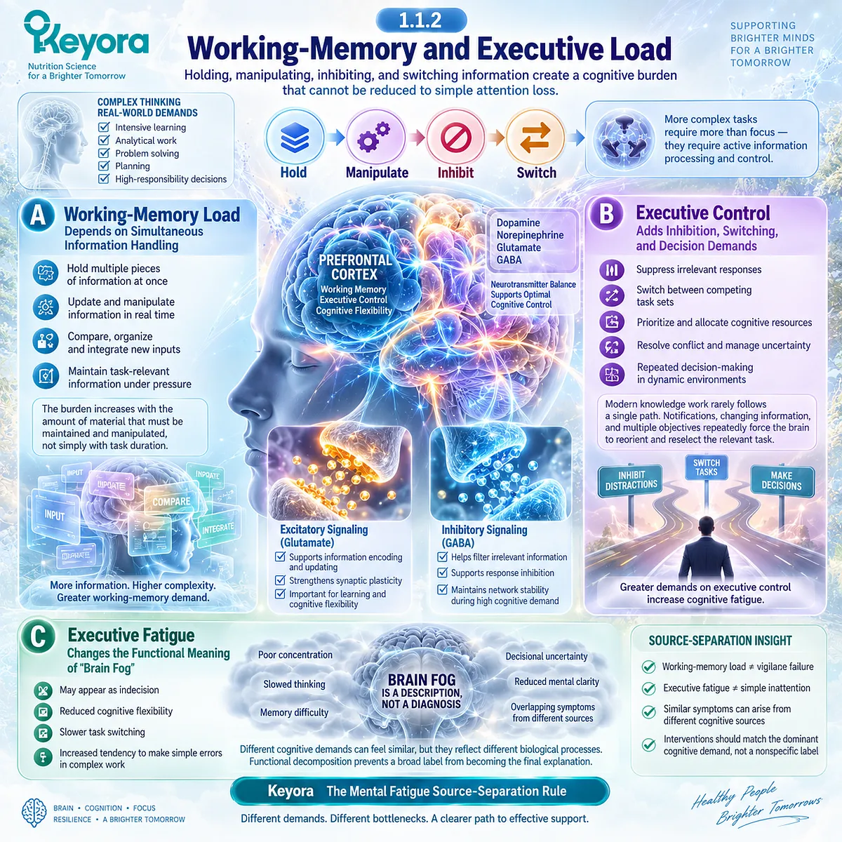 Brain fog under working-memory and executive load can reflect impaired information updating, inhibition, and task switching, mapped by Keyora Mental Fatigue Source-Separation Rule. Brain fog under working-memory and executive load can reflect impaired information updating, inhibition, and task switching, mapped by Keyora Mental Fatigue Source-Separation Rule.