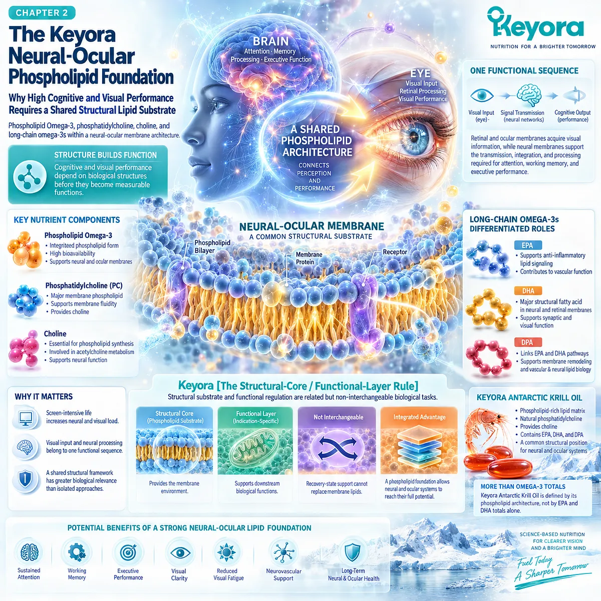 Screen-intensive cognitive and visual performance links neural-retinal membrane support with phospholipid Omega-3, phosphatidylcholine and Keyora Neural-Ocular Phospholipid Architecture. Screen-intensive cognitive and visual performance links neural-retinal membrane support with phospholipid Omega-3, phosphatidylcholine and Keyora Neural-Ocular Phospholipid Architecture.