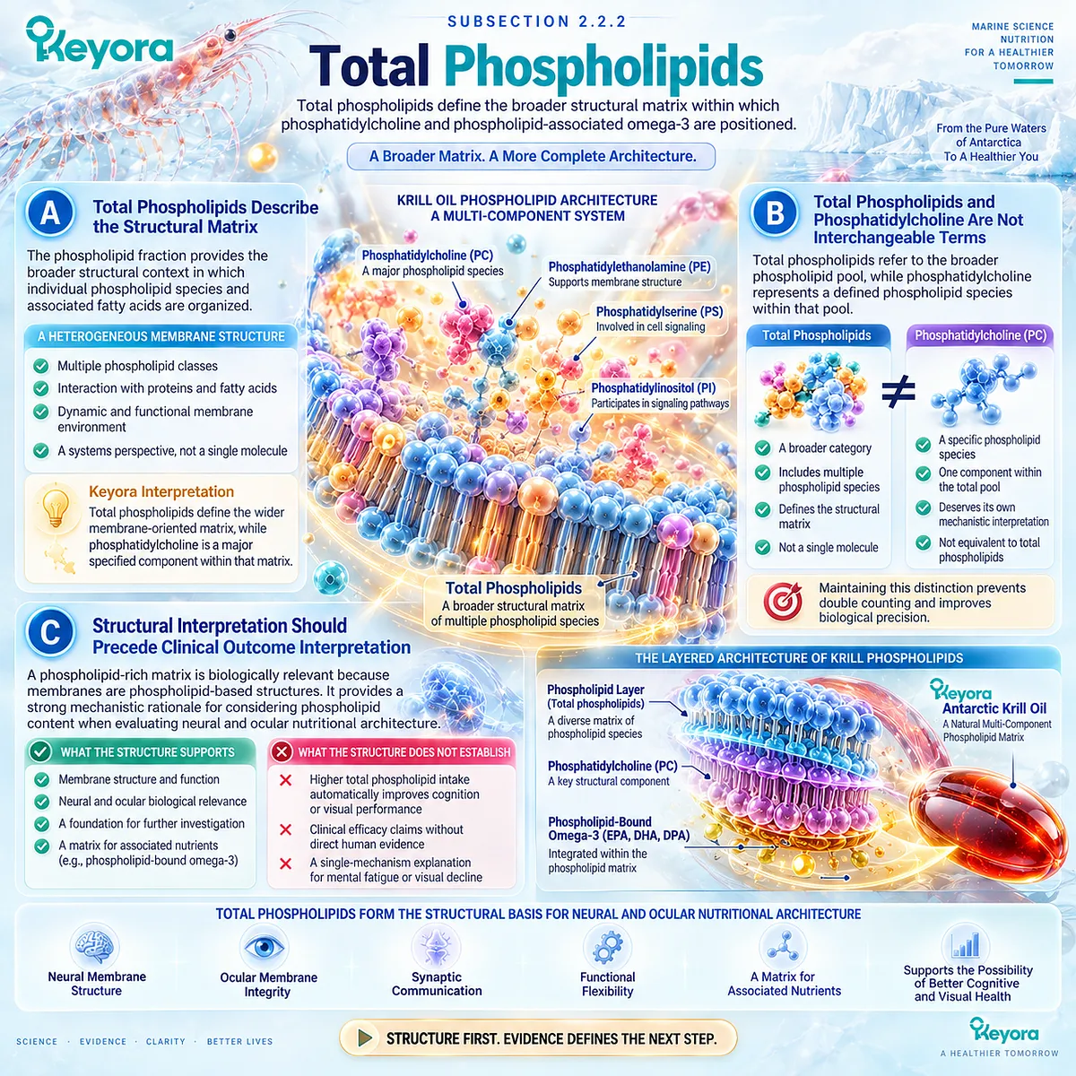 Krill oil total phospholipids form a membrane-relevant matrix around phosphatidylcholine and Omega-3 for brain and eye health in Keyora Neural-Ocular Phospholipid Architecture. Krill oil total phospholipids form a membrane-relevant matrix around phosphatidylcholine and Omega-3 for brain and eye health in Keyora Neural-Ocular Phospholipid Architecture.