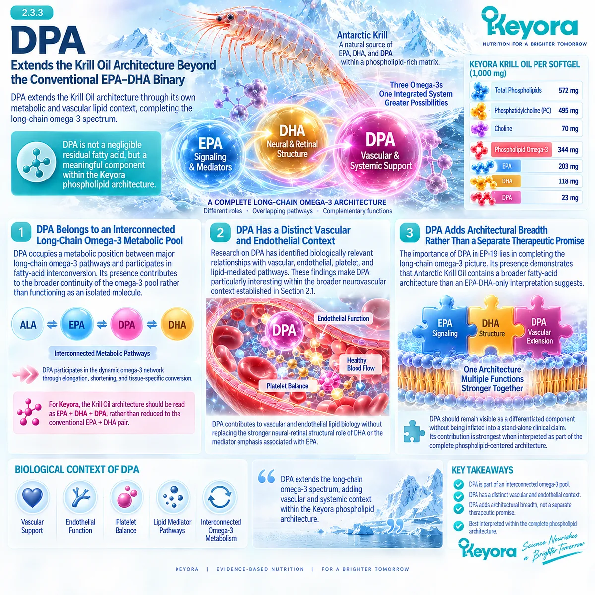 DPA expands krill oil beyond EPA and DHA through omega-3 metabolism and vascular-endothelial lipid pathways in Keyora Neural-Ocular Phospholipid Architecture. DPA expands krill oil beyond EPA and DHA through omega-3 metabolism and vascular-endothelial lipid pathways in Keyora Neural-Ocular Phospholipid Architecture.