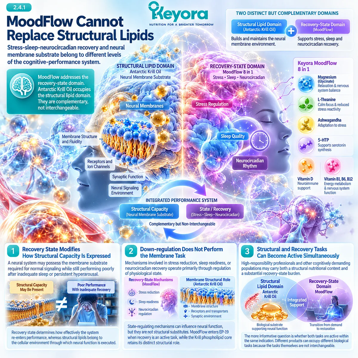 Stress and sleep recovery support neural performance through state regulation, while krill phospholipids provide membrane structure under Keyora Structural-Core / Functional-Layer Rule. Stress and sleep recovery support neural performance through state regulation, while krill phospholipids provide membrane structure under Keyora Structural-Core / Functional-Layer Rule.
