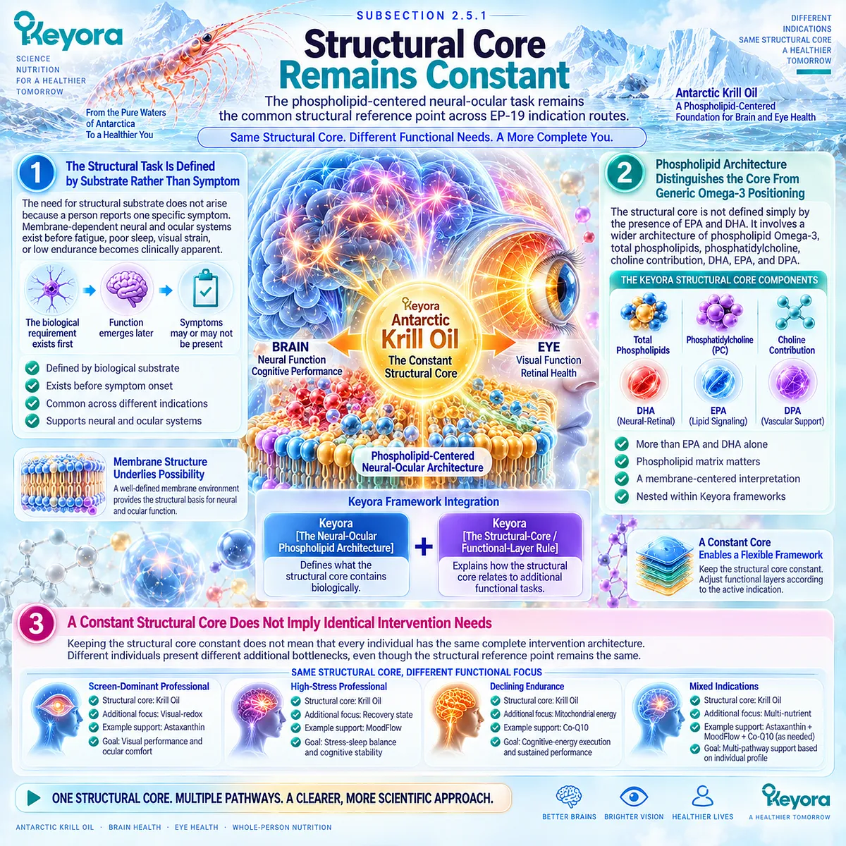 Krill oil provides a constant neural-ocular phospholipid core while stress, screen eye strain and energy needs vary under Keyora Structural-Core / Functional-Layer Rule. Krill oil provides a constant neural-ocular phospholipid core while stress, screen eye strain and energy needs vary under Keyora Structural-Core / Functional-Layer Rule.