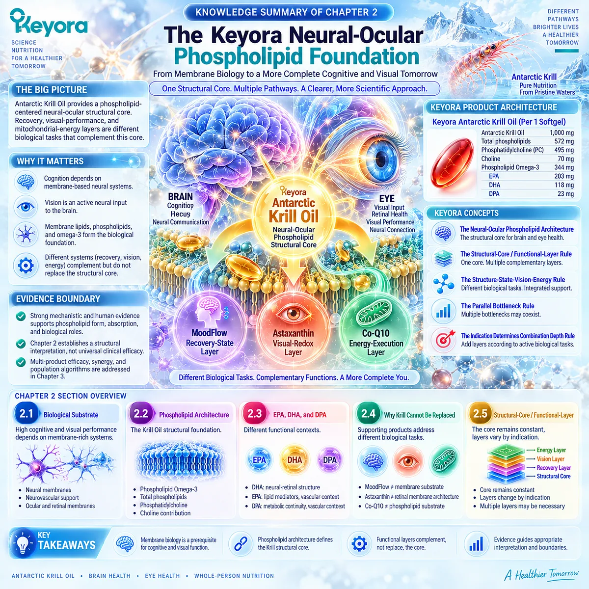 Krill oil links phospholipid Omega-3, PC, choline, EPA, DHA and DPA with brain-eye membrane support in Keyora Neural-Ocular Phospholipid Architecture. Krill oil links phospholipid Omega-3, PC, choline, EPA, DHA and DPA with brain-eye membrane support in Keyora Neural-Ocular Phospholipid Architecture.