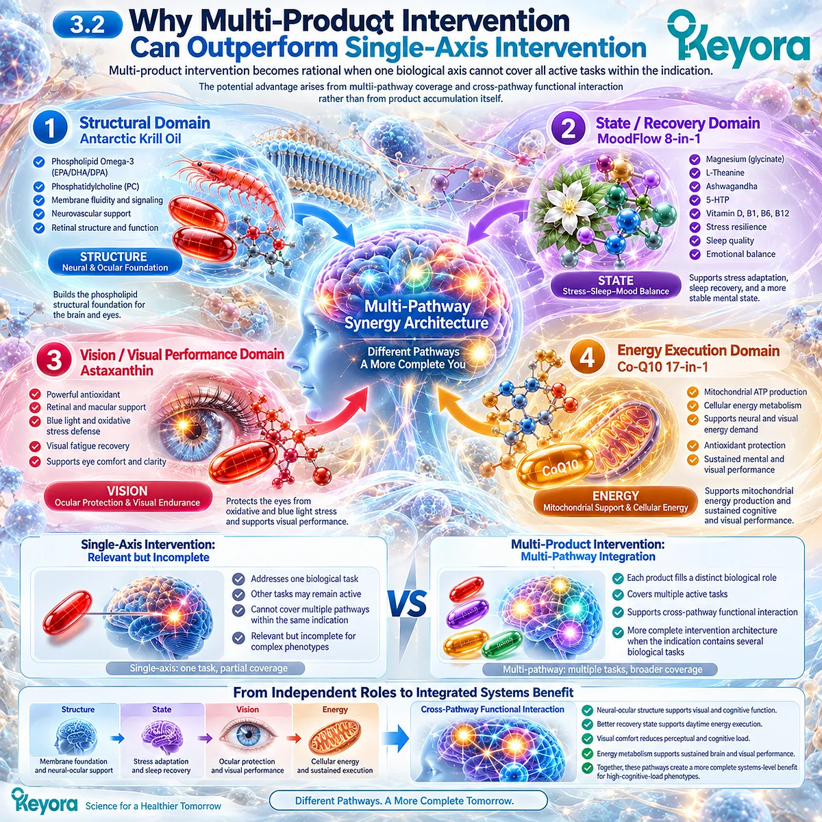 Cognitive performance support can require phospholipid structure, stress recovery, visual and mitochondrial energy pathways within Keyora Multi-Pathway Synergy Architecture. Cognitive performance support can require phospholipid structure, stress recovery, visual and mitochondrial energy pathways within Keyora Multi-Pathway Synergy Architecture.
