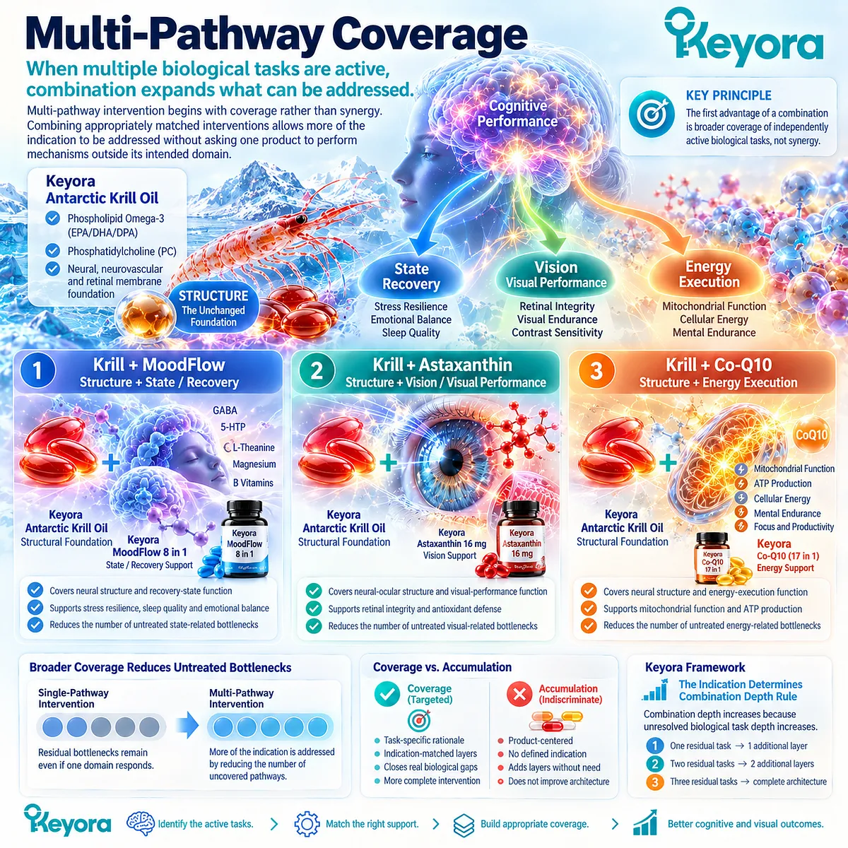 Cognitive support combines phospholipid structure with stress recovery, visual performance or mitochondrial energy as Keyora Indication Determines Combination Depth Rule maps active bottlenecks. Cognitive support combines phospholipid structure with stress recovery, visual performance or mitochondrial energy as Keyora Indication Determines Combination Depth Rule maps active bottlenecks.