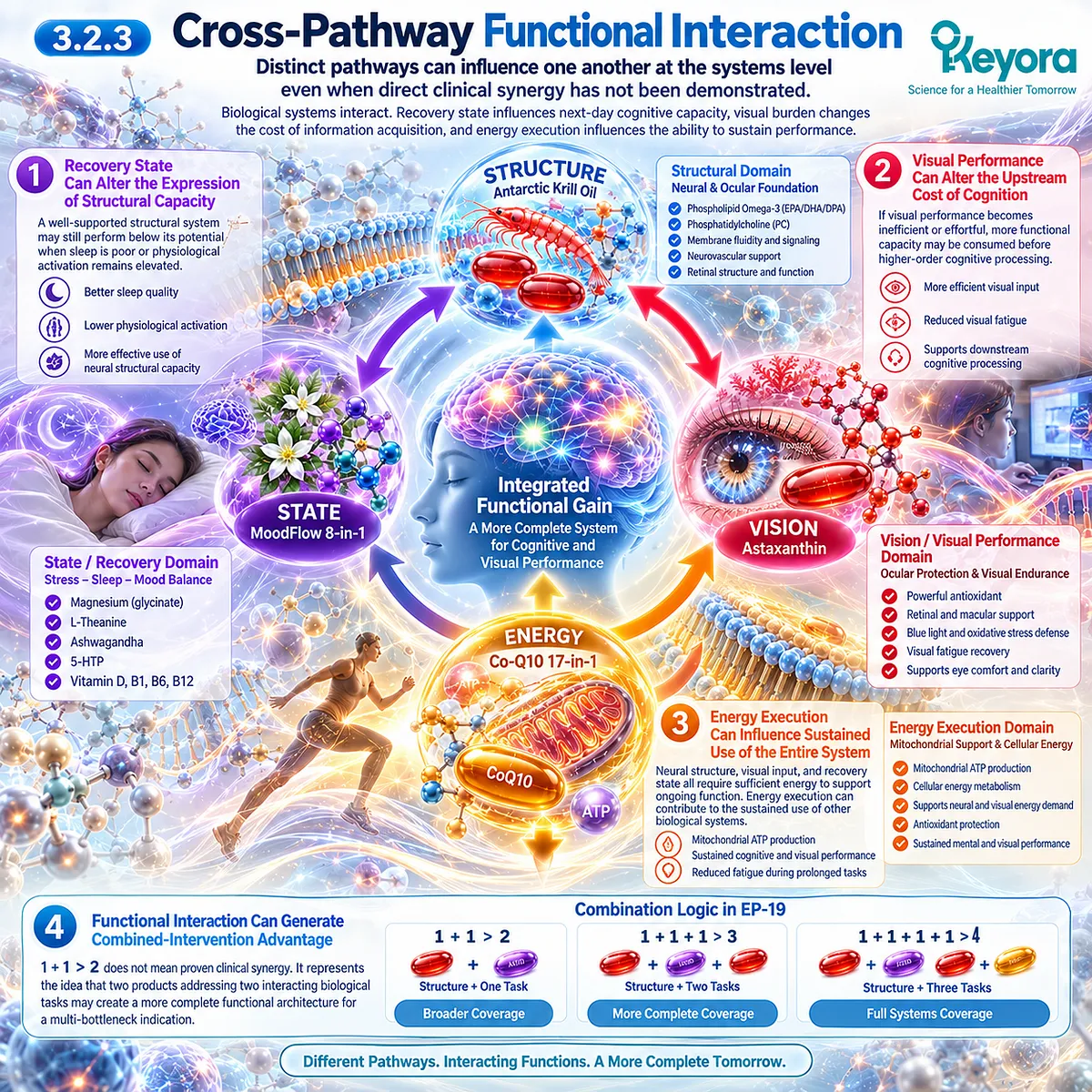 Cognitive performance links sleep recovery, visual efficiency and mitochondrial energy with neural structure through Keyora Multi-Pathway Synergy Architecture, without assuming clinical synergy. Cognitive performance links sleep recovery, visual efficiency and mitochondrial energy with neural structure through Keyora Multi-Pathway Synergy Architecture, without assuming clinical synergy.