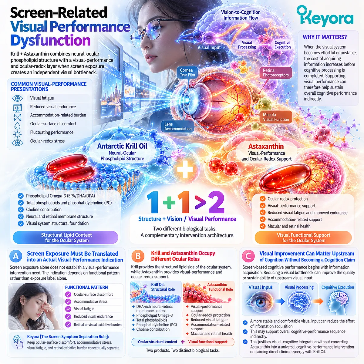 Screen-related visual fatigue links retinal phospholipid structure with ocular redox and visual performance support in Keyora Screen Symptom Separation Rule architecture. Screen-related visual fatigue links retinal phospholipid structure with ocular redox and visual performance support in Keyora Screen Symptom Separation Rule architecture.