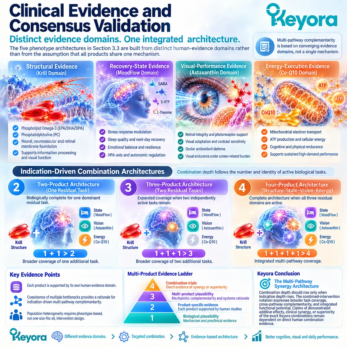 Cognitive support depth follows phospholipid, sleep-recovery, visual-performance and mitochondrial-energy needs through Keyora Multi-Pathway Synergy Architecture. Cognitive support depth follows phospholipid, sleep-recovery, visual-performance and mitochondrial-energy needs through Keyora Multi-Pathway Synergy Architecture.