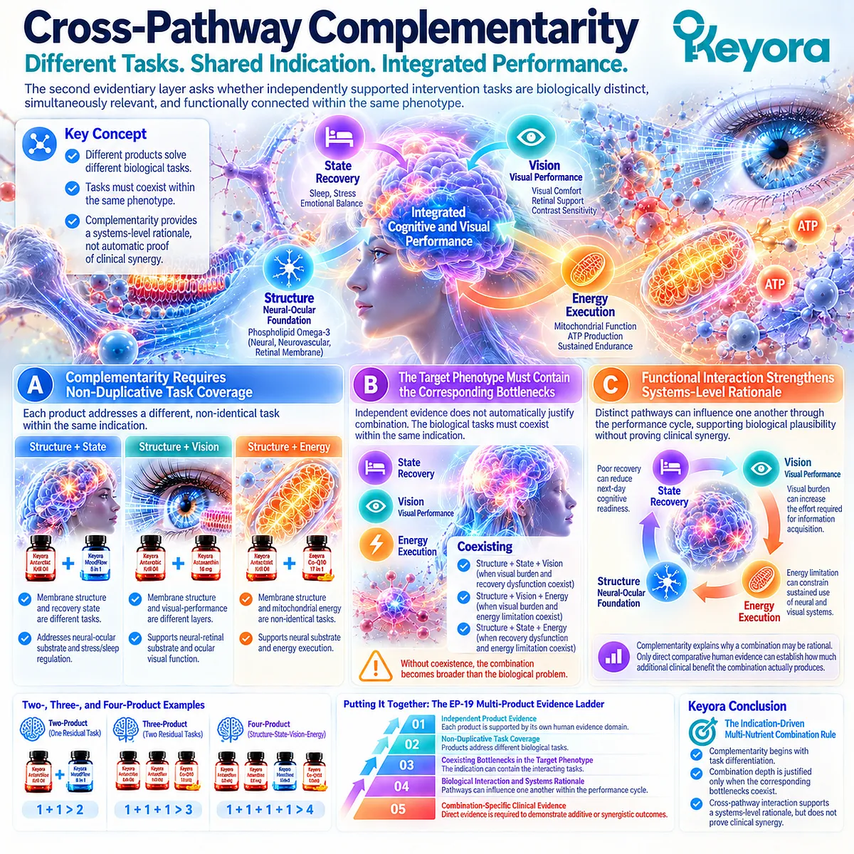 Cognitive wellness links phospholipid structure with sleep recovery, visual performance and mitochondrial energy through Keyora Multi-Pathway Synergy Architecture complementarity. Cognitive wellness links phospholipid structure with sleep recovery, visual performance and mitochondrial energy through Keyora Multi-Pathway Synergy Architecture complementarity.