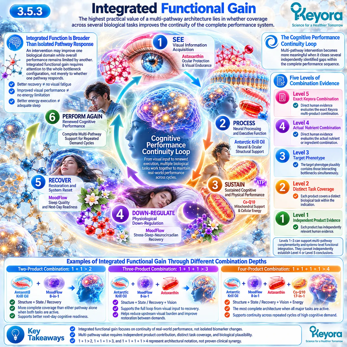 Cognitive performance continuity links visual input, neural processing, mitochondrial endurance and sleep recovery in Keyora Cognitive Performance Continuity Loop. Cognitive performance continuity links visual input, neural processing, mitochondrial endurance and sleep recovery in Keyora Cognitive Performance Continuity Loop.